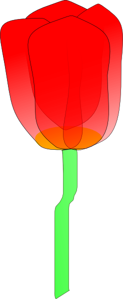 Tulipan clip art