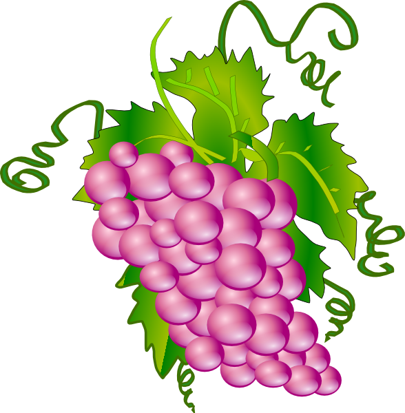 Grapes clip art