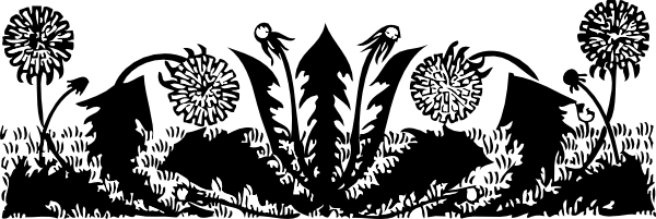 Dandelions clip art