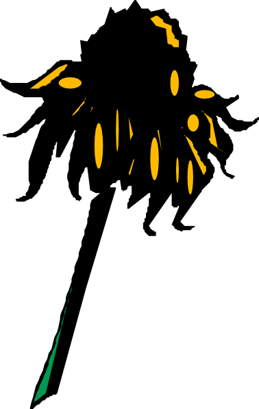 Flower Rudbeckia clip art