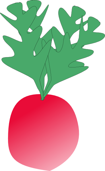 Radish clip art