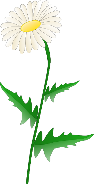 Daisy clip art