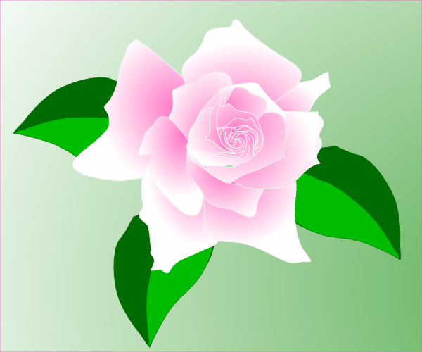 Pink-rose clip art