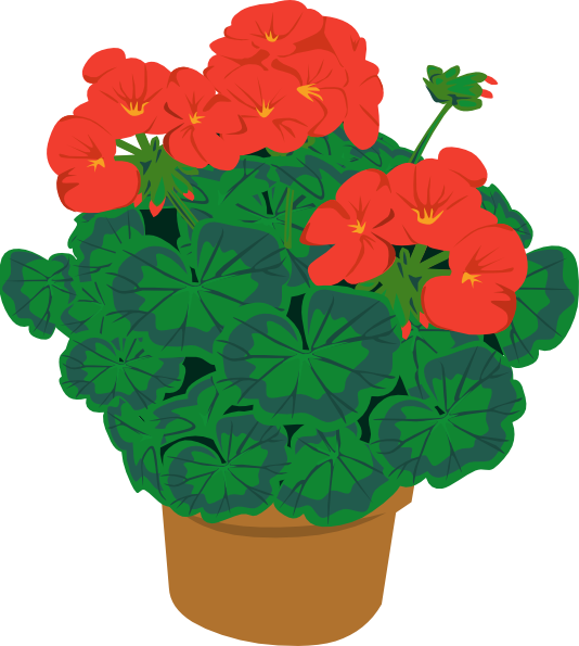 Geranium In Pot clip art