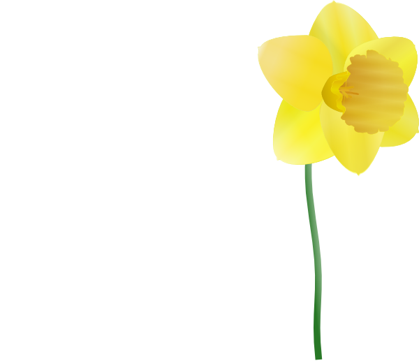 Daffodil clip art