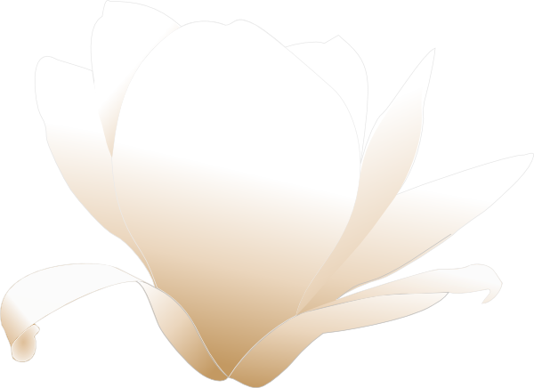 Magnolia_white clip art