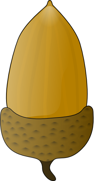 Acorn clip art