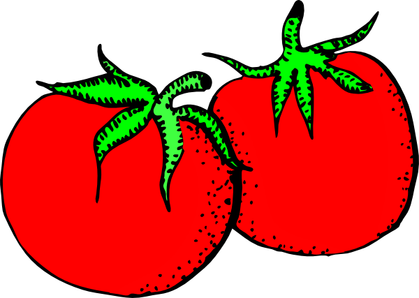 Tomatoes clip art