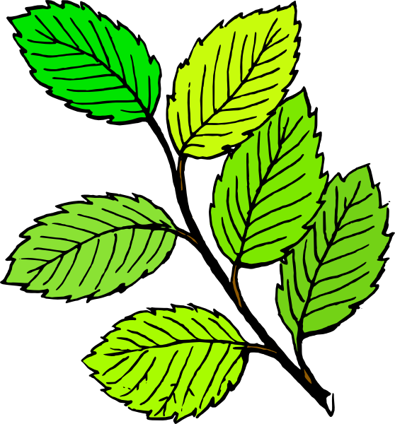 Summer Leaves clip art