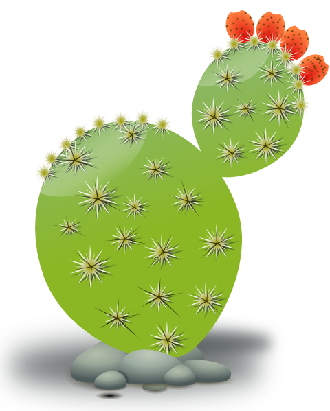 Cactus clip art