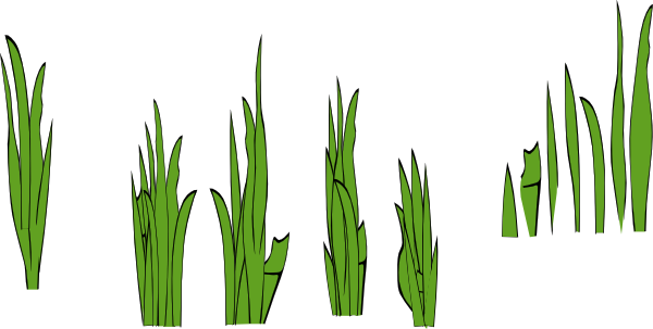 Grass Blades And Clumps clip art