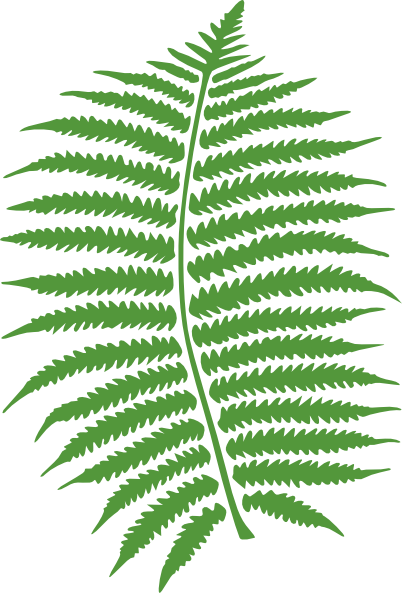 Fern clip art