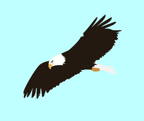 Soaring Eagle clip art