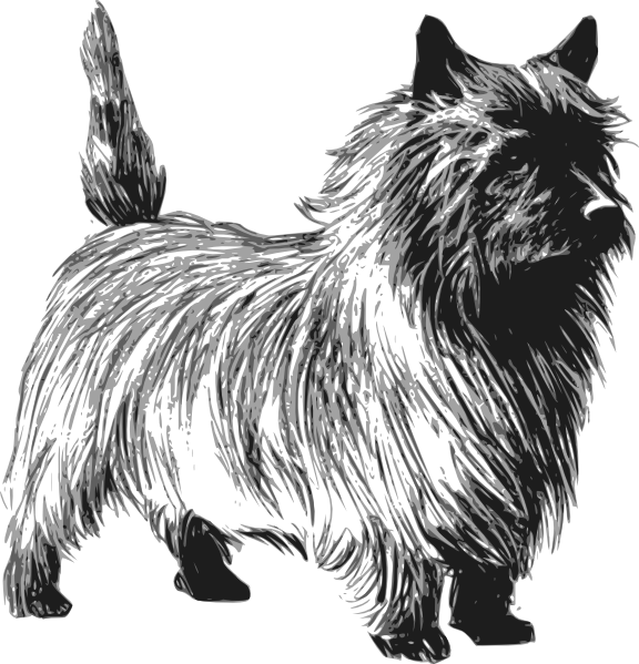 Cairn Terrier clip art