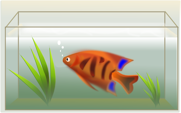 Fish Tank clip art