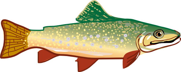 Trout clip art