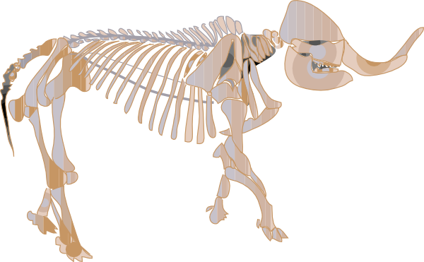 Mastodon Fossil clip art