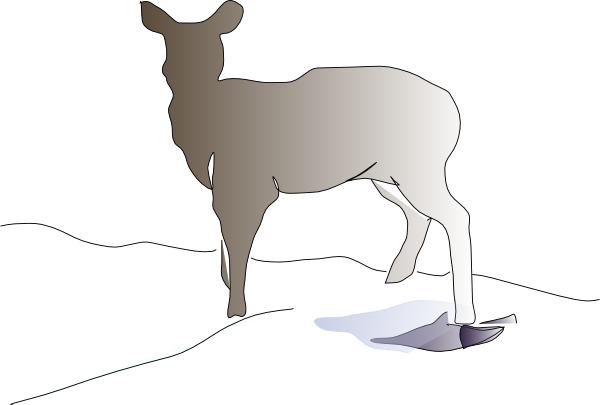 Deer clip art