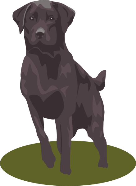 Black Lab clip art