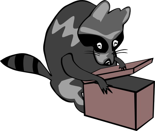 Raccoon Opening Box clip art