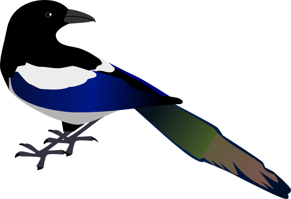 Magpie clip art