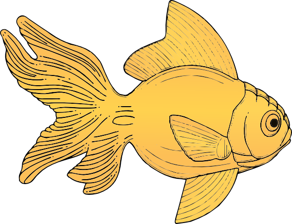 Golden Fish clip art