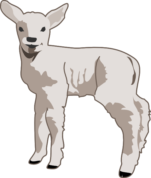 Small Sheep clip art