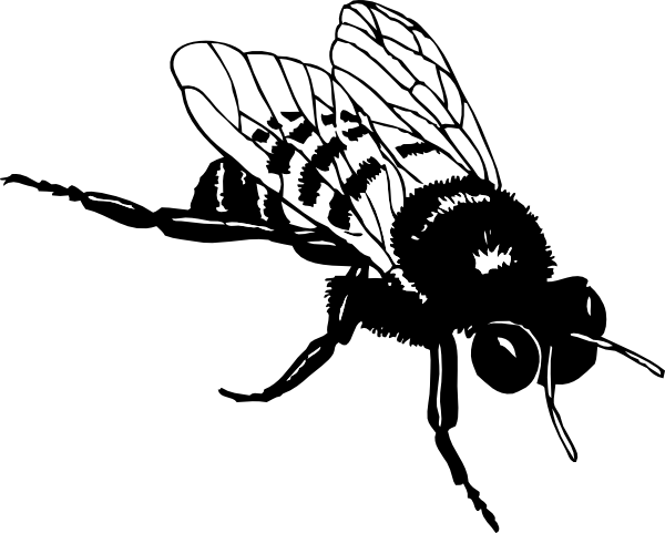 Bumble Bee clip art