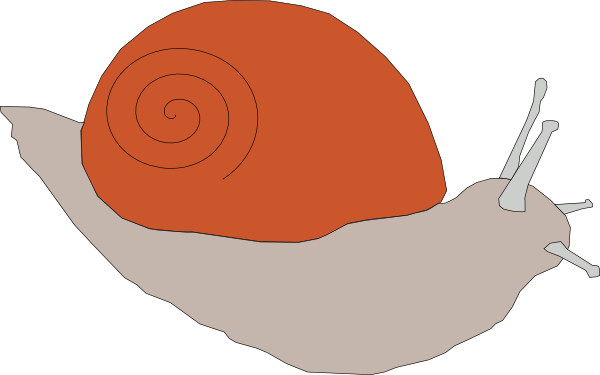 Snail clip art