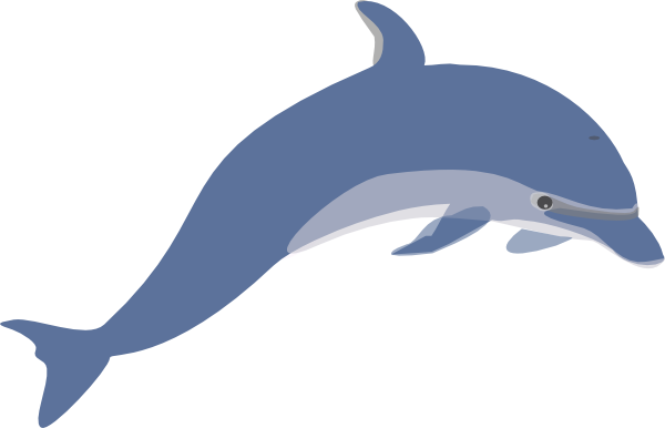 Dolphin clip art