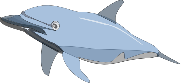 Dolphin clip art