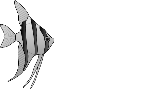 Altum Angelfish clip art