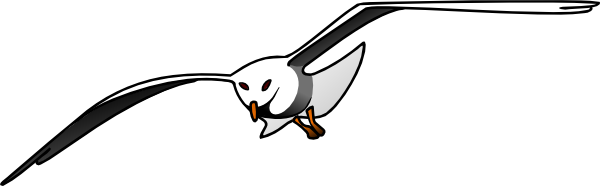 Seagull clip art