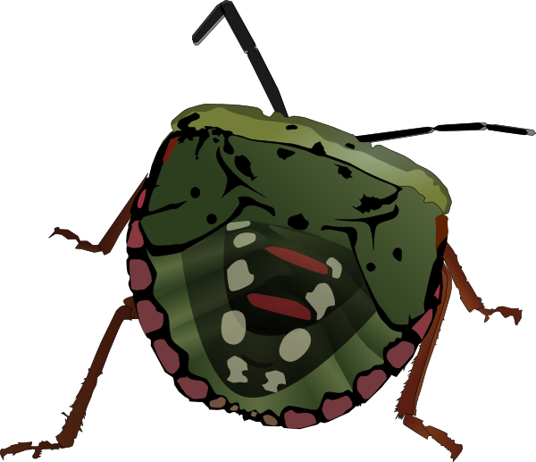 Stink Bug clip art