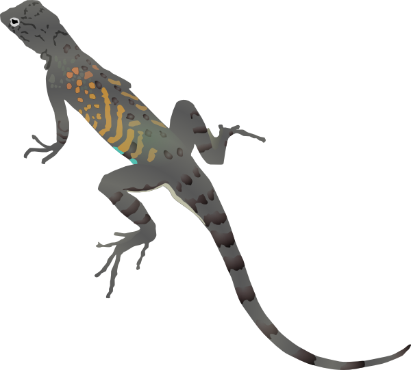 Az-lizard clip art