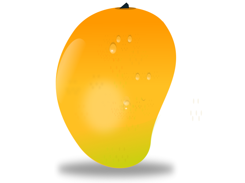 mango fruit