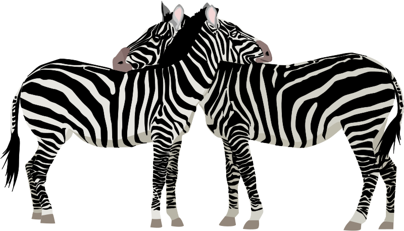 Zebras