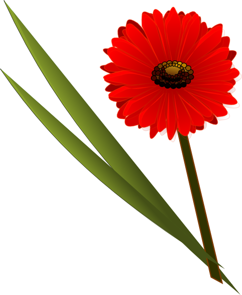 Gerbera clip art