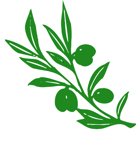 Olive Tree Branch clip art