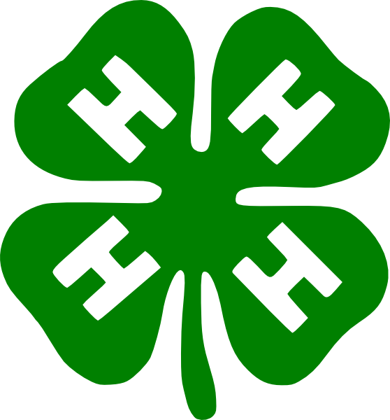 Shamrock clip art