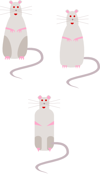 Rat clip art