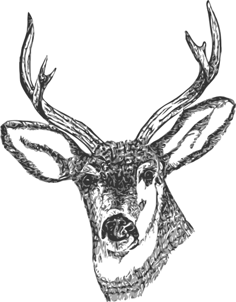 Deer Head clip art