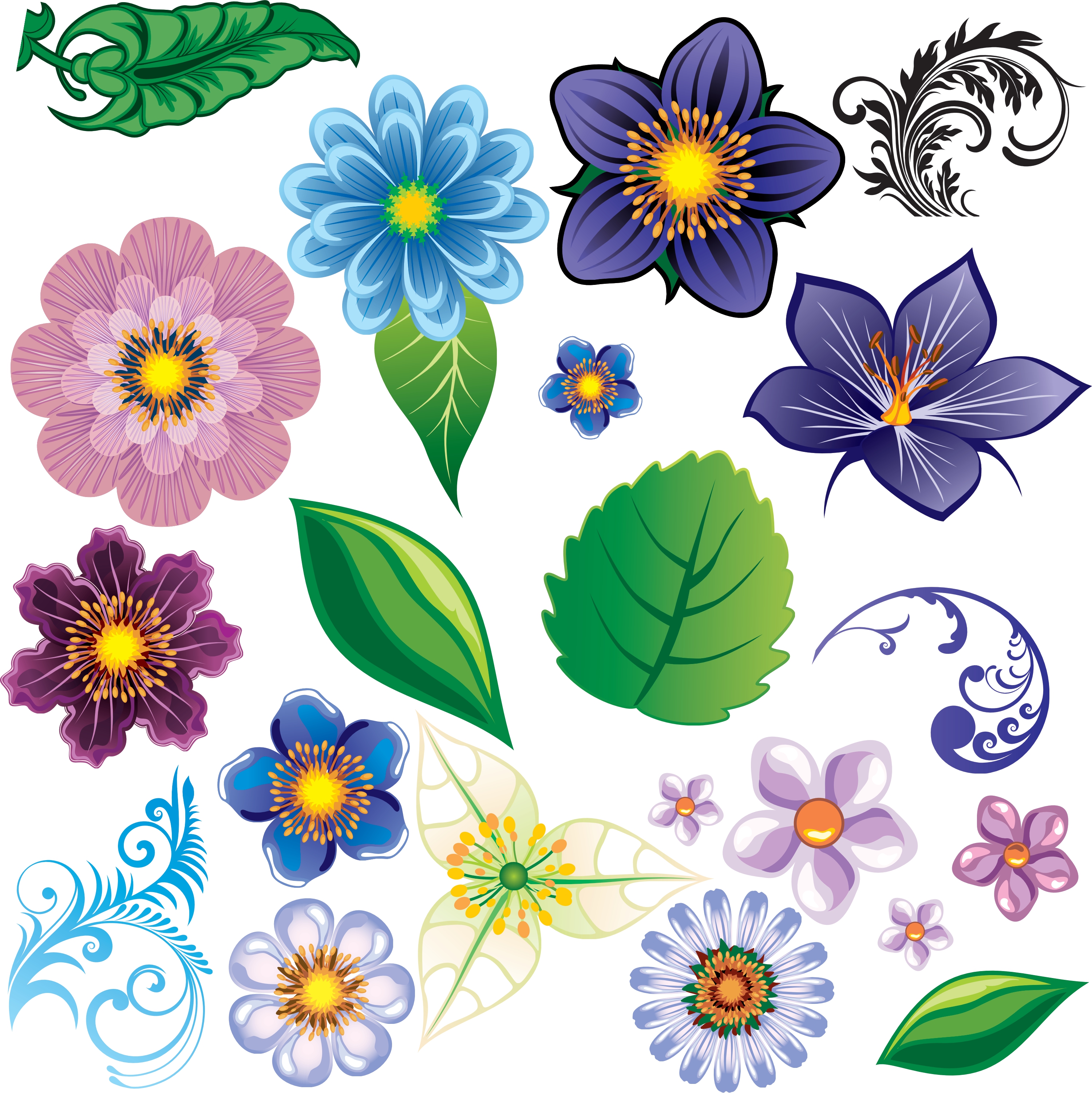 flower elements vector