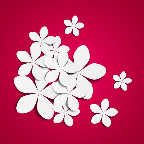 White flowers vector