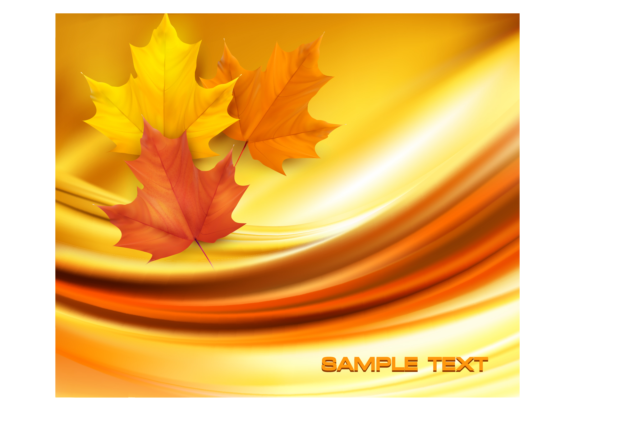 Beautiful maple leaf background vector