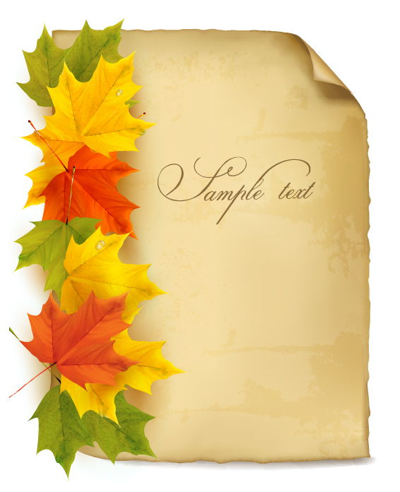 Beautiful maple leaf background vector001