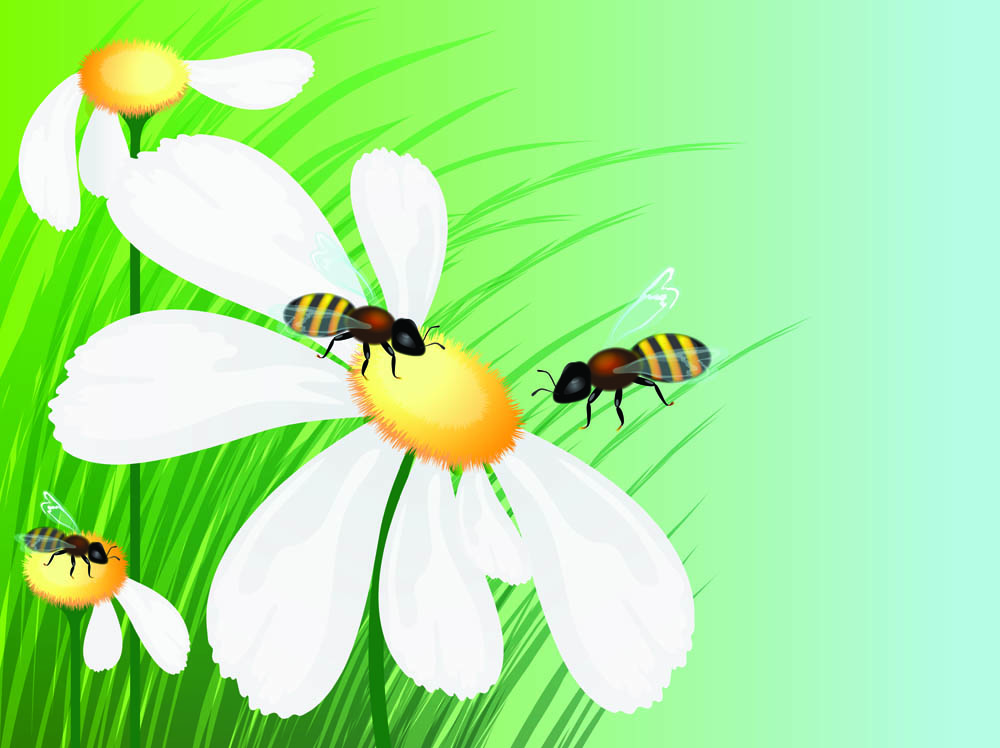 Honey bees flowers background