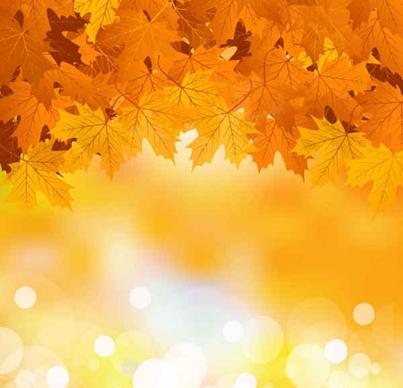 Autumn maple leaf background