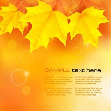 Yellow autumn leaves background