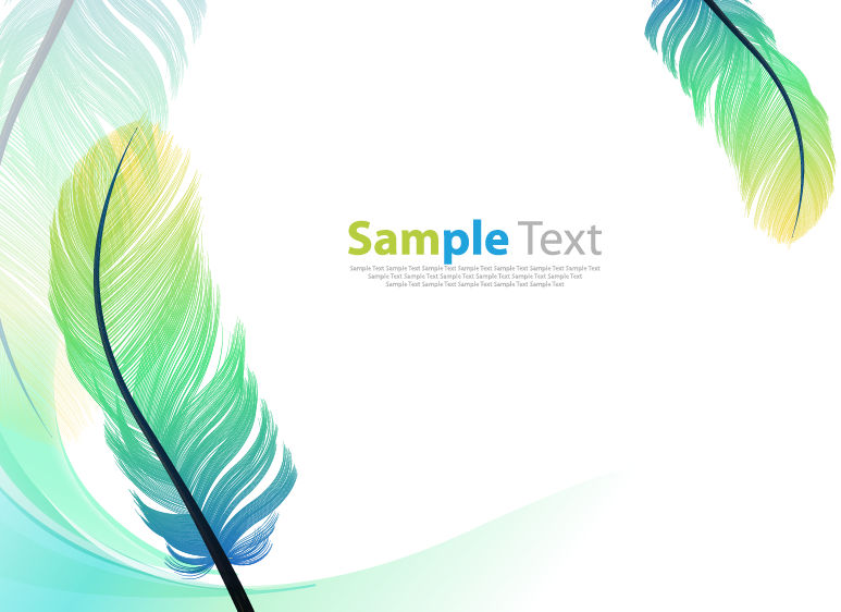 Vector Color Feathers Background